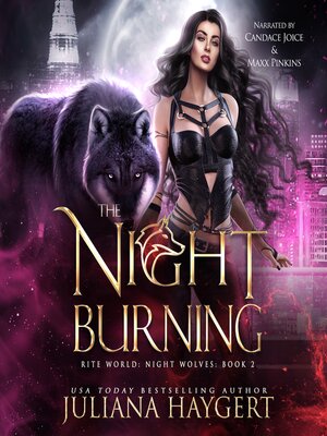 cover image of The Night Burning